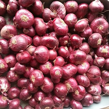 FENUGREEK SEEDS